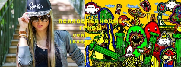 хмурый Куйбышев