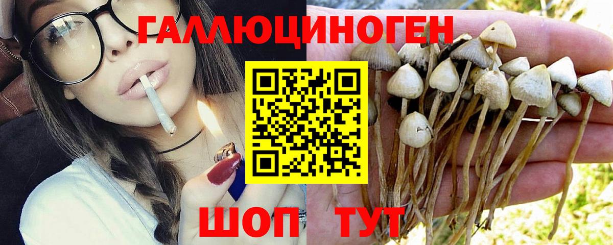 Галлюциногенные грибы Psilocybe Ливны