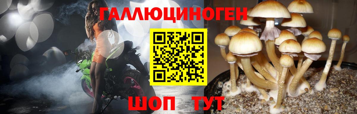 Галлюциногенные грибы мицелий  Псилоцибиновые грибы Magic Shrooms  наркота  Ливны  Вход с VPN 